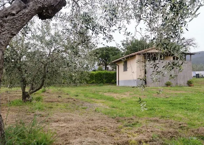 Villetta Sotto Castagno