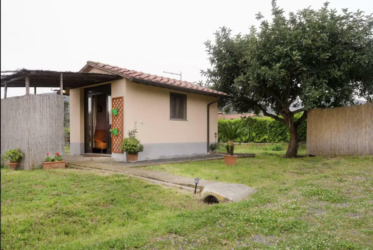 Sotto Castagno